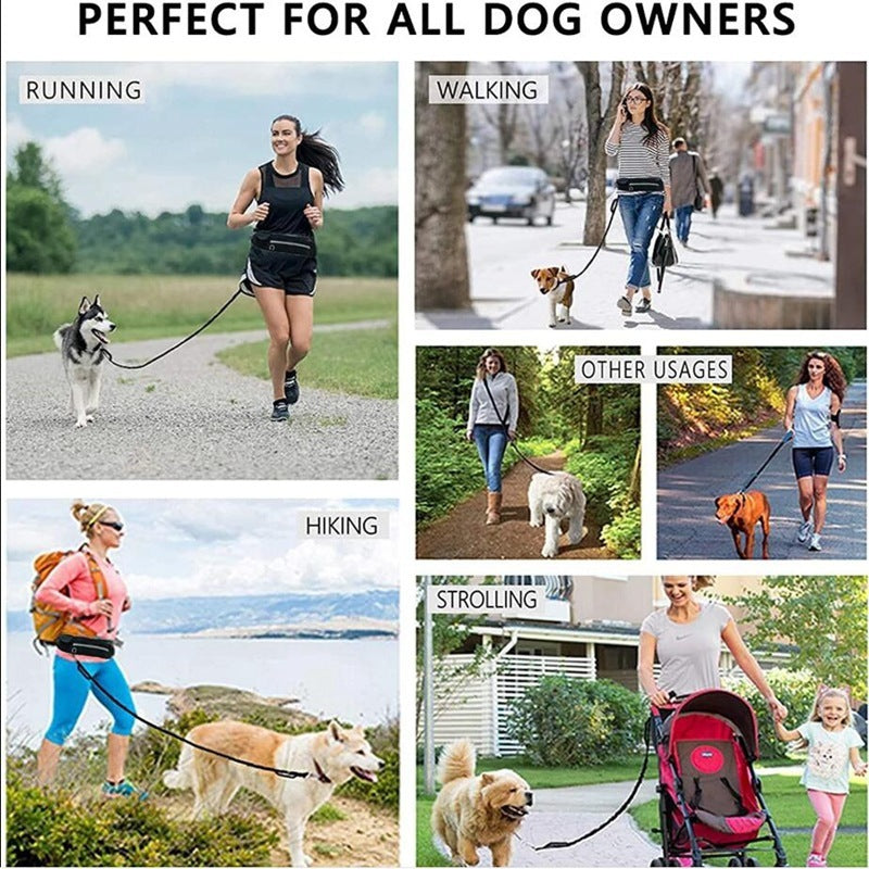 Hands-Free Dog Leash – Run and Walk with Freedom! - My Store