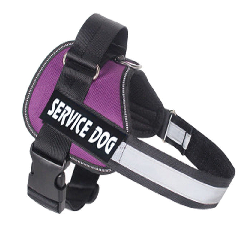 Labrador dog harness leash