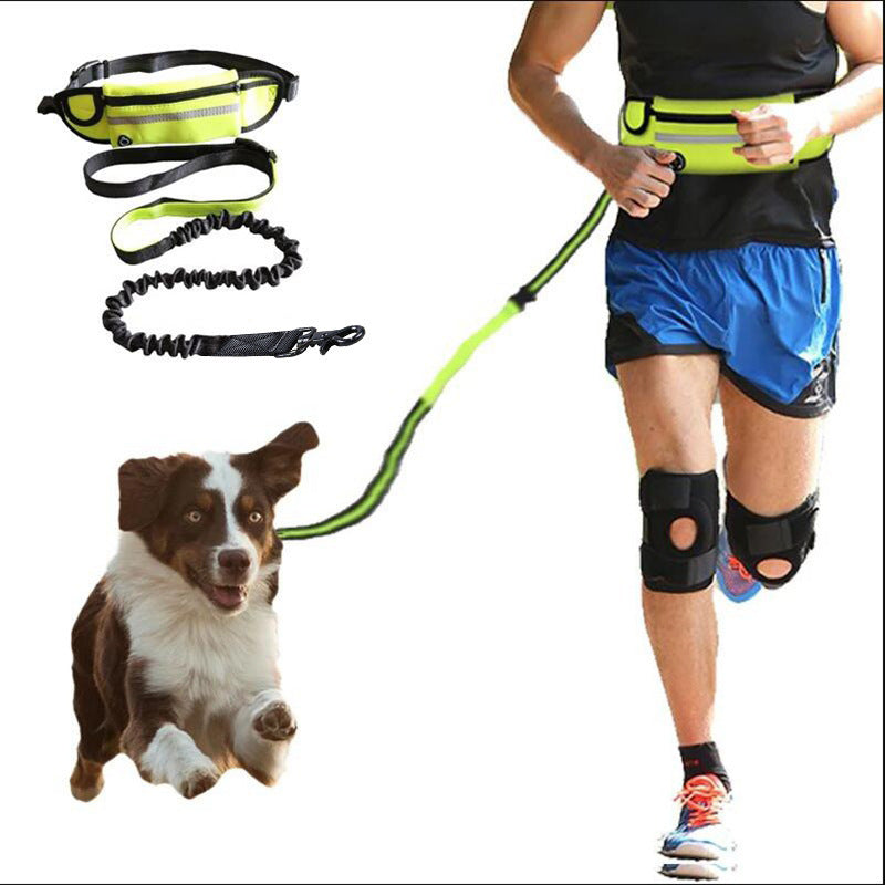 Hands-Free Dog Leash – Run and Walk with Freedom! - My Store