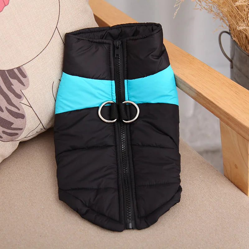 Waterproof Warm Dog Jacket for All Sizes - My Store