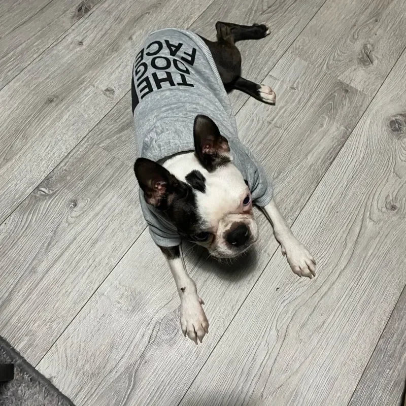 Cozy Windproof Hoodies for Dogs – Keep Your Pet Warm and Stylish - My Store