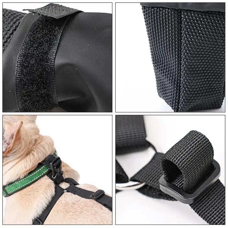 Waterproof Adventure Dog Pants – For All-Weather Protection!