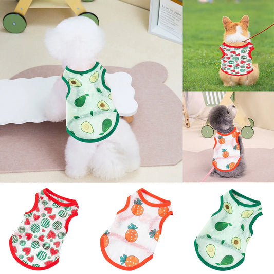 Fruit-Themed Dog Vests – Light, Fun, and Comfortable!