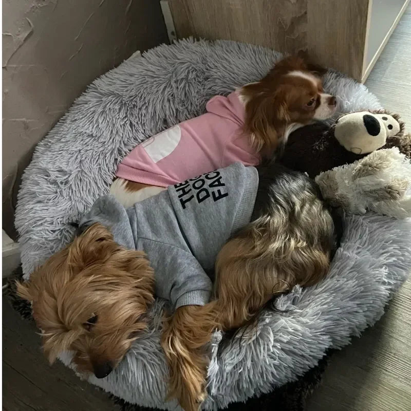 Cozy Windproof Hoodies for Dogs – Keep Your Pet Warm and Stylish - My Store