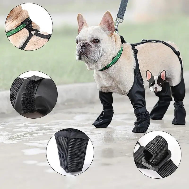 Waterproof Adventure Dog Pants – For All-Weather Protection!