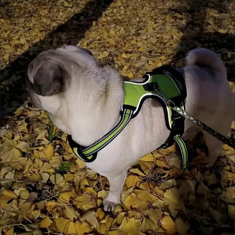 Reflective Dog Harness – Comfort, Safety, and Control for Every Walk