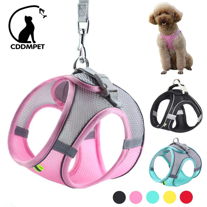 Adjustable Dog Harness & Leash Set for Small Dogs – Secure & Comfortable Walking - My Store