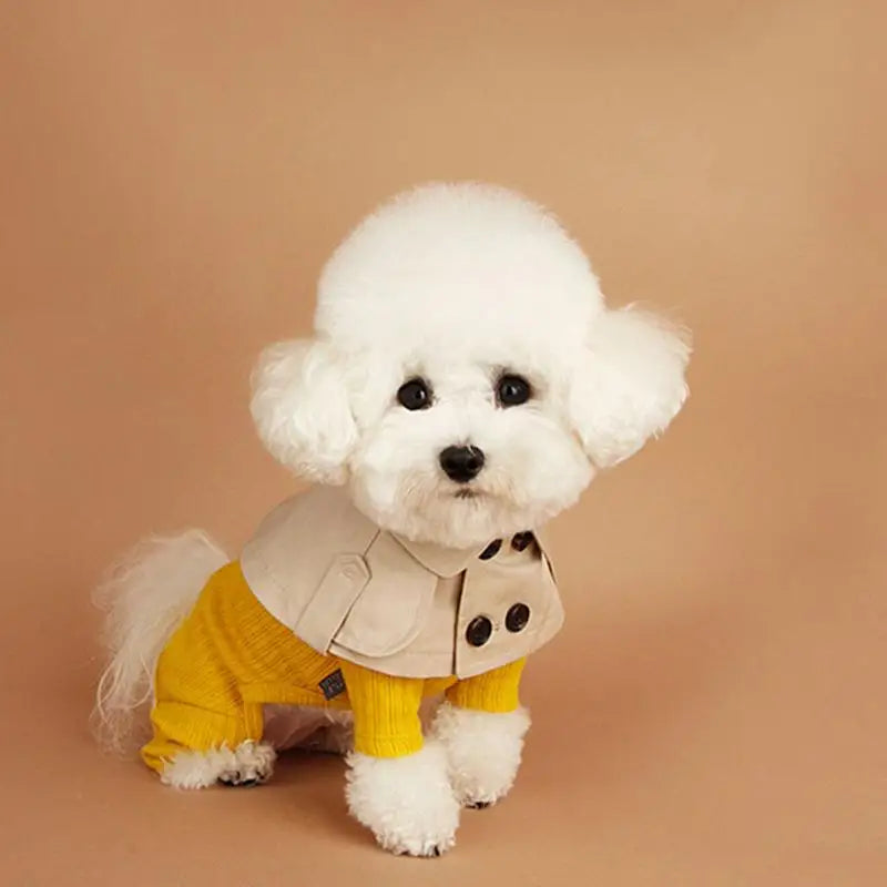 British Style Pet Cloak – Fashionable Windbreaker for Dogs