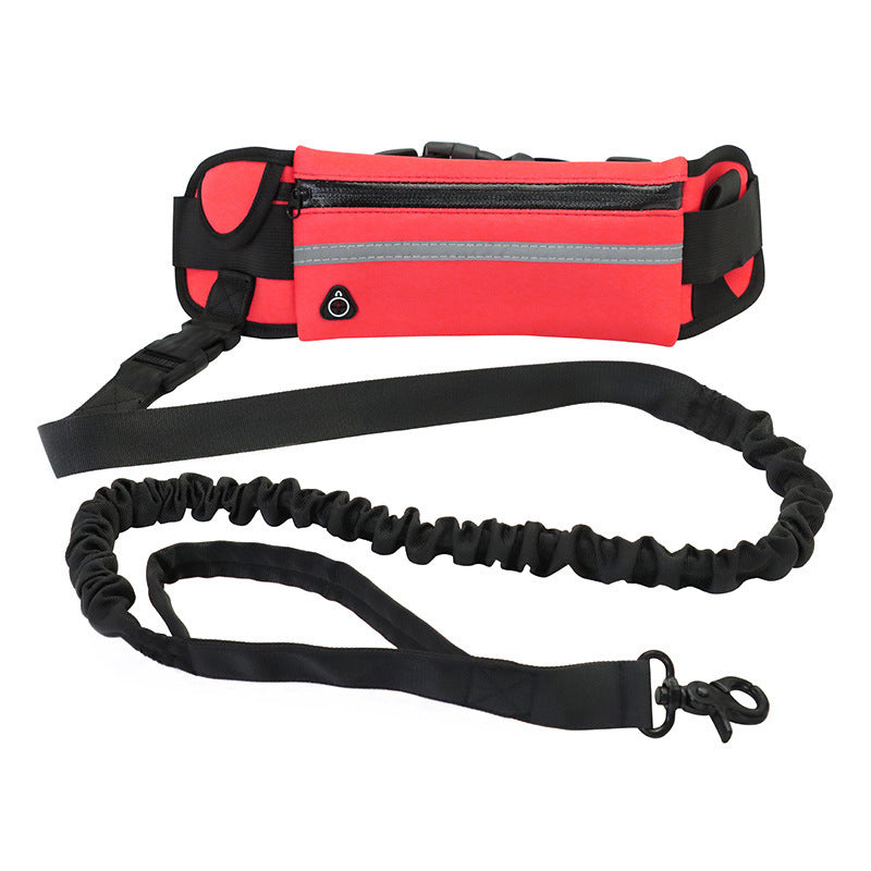 Hands-Free Dog Leash – Run and Walk with Freedom! - My Store